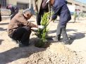گزارش تصویری مراسم روز درخت کاری و تقدیر از نیروهای باغبانی دانشگاه